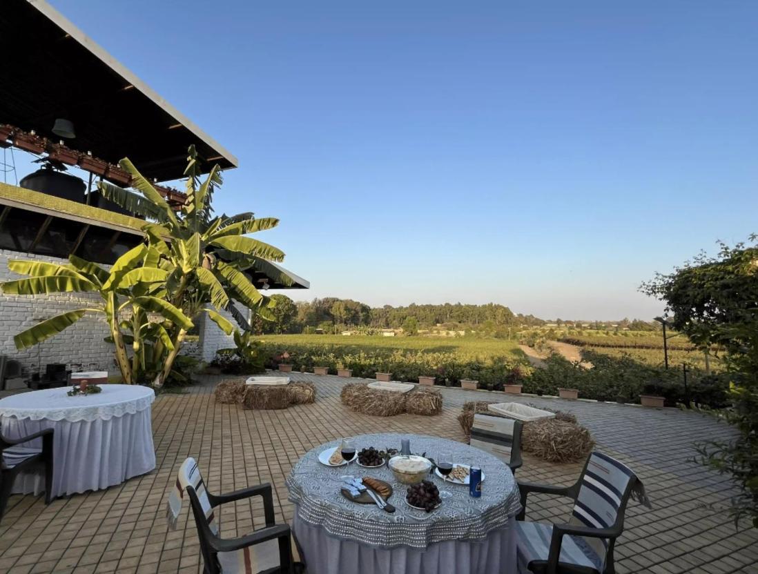 Saffronstays Onellaa, Nashik - Infinity Pool Villa Surrounded By A Vineyard מראה חיצוני תמונה